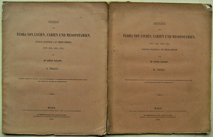Image for Beiträge zur Flora von Lycien, Carien und Mesopotamien : plantae collectae a Dre. Felix Luschen ann. 1881, 1882, 1883
