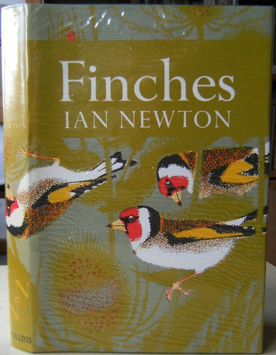 Finches Image for Finches