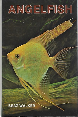 Image for Angelfish (Angel Fish)