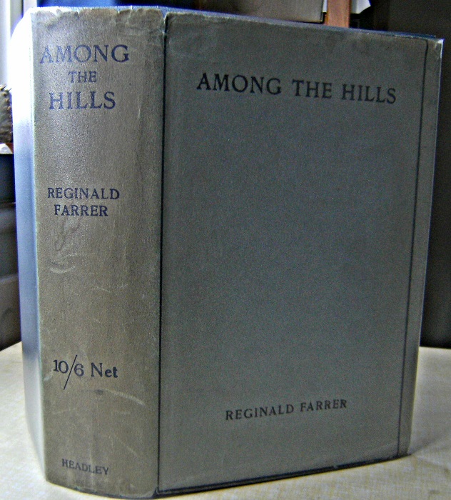 Image for Among the Hills (with dustwrapper)