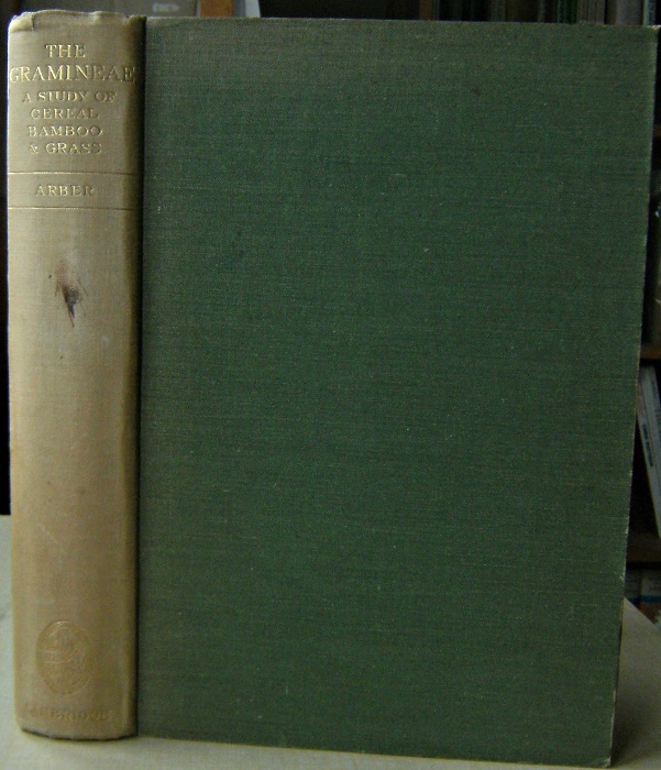 Image for The Gramineae - a study of cereal, bamboo, and grass