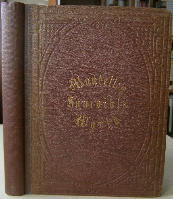 Image for Thoughts on Animalcules: or, a Glimpse of the Invisible World Revealed by the Microscope