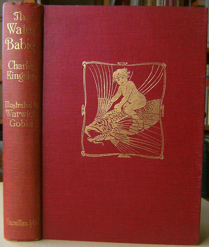 Image for The Water-Babies : A Fairy Tale for a Land-Bby
