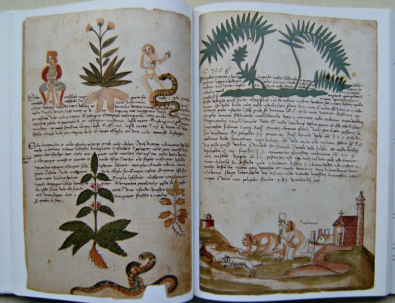 Image for The Illustrated Herbal