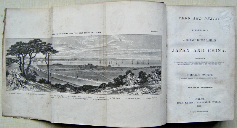 Image for Yedo and Peking:  A Narrative of a Journey to the Capitals of Japan and China. With Notices of the natural productions, agriculture, horticulture, and trade of those countries, and other things met with by the way