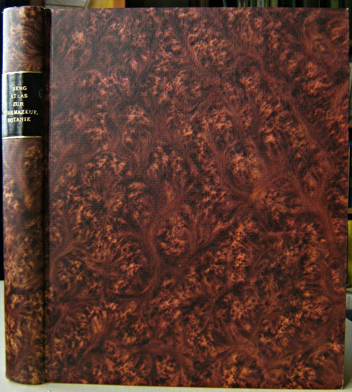 Image for Charakteristik der für die Arzneikunde und Technik wichtigsten Pflanzen-Gattungen in Illustrationen auf hundert in Stein gravierten Tafeln nebst erläuterndem Texte oder Atlas zur Pharmazeutischen Botanik