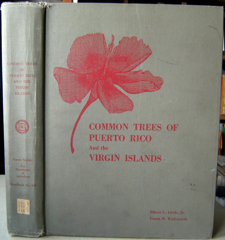 Common Trees of Puerto Rico and the Virgin Islands