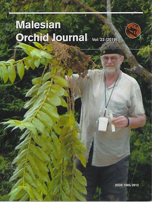 Image for Malesian Orchid Journal Volume 23