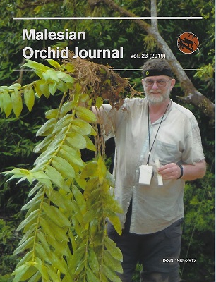 Image for Malesian Orchid Journal Volume 23