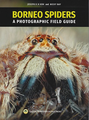 Image for Borneo Spiders - a Photographic Field Guide