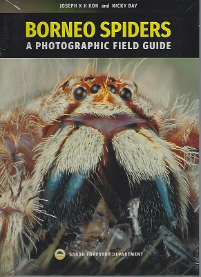 Image for Borneo Spiders - a Photographic Field Guide