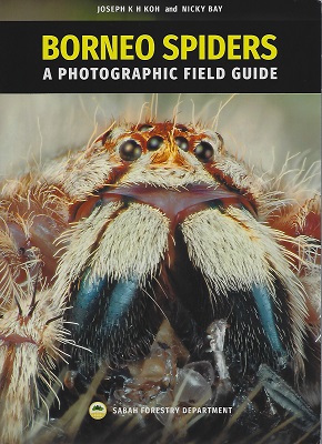 Image for Borneo Spiders - a Photographic Field Guide