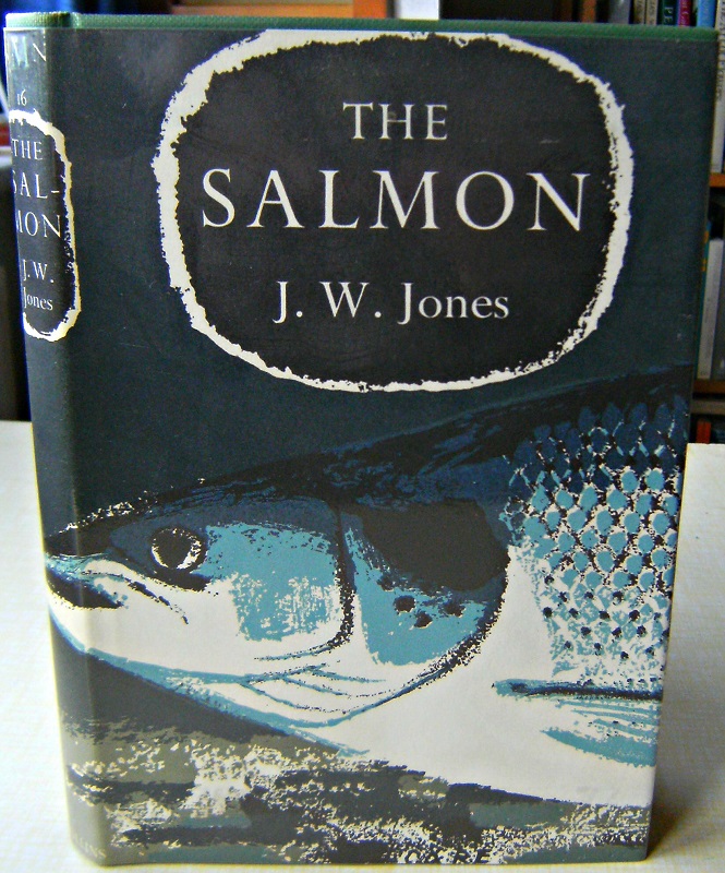 Image for The Salmon