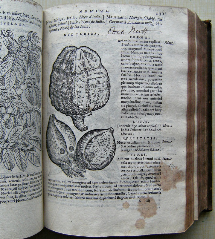 Image for Compendium e Plantis omnibus, vnà cum earum iconibus, de quibus scripsit suis in commentariis in Dioscoridem editis, in eorum studiosorum commodum, atque vsum; qui Plantis conquirendis, ac indagandis student. Accessit Præterea Ad Calcem Opusculum