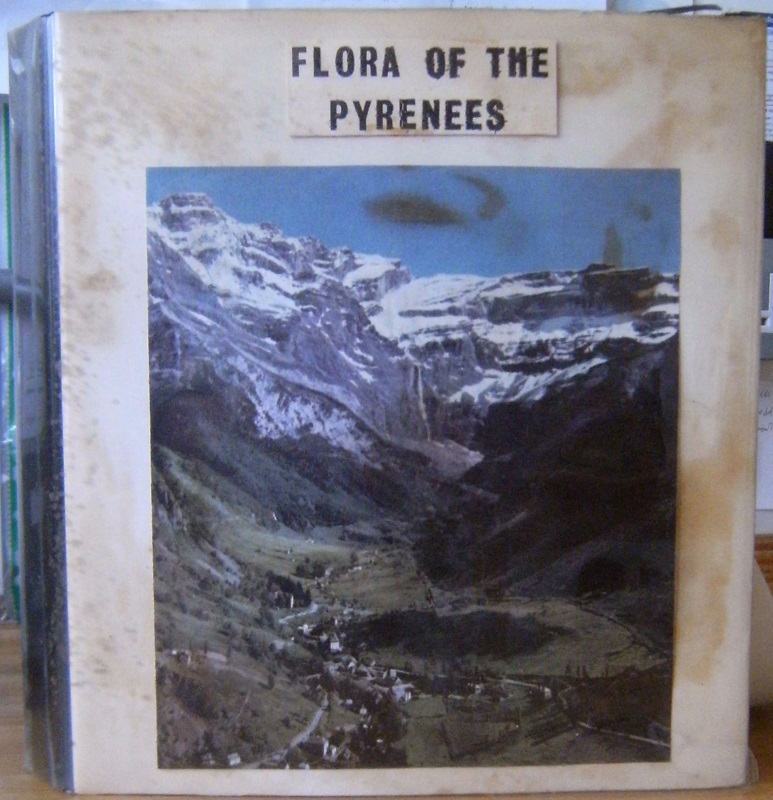 Image for Flora of the Pyrenees