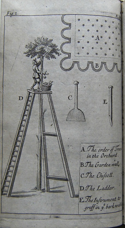 Image for Plain and Full Instructions to Raise all Sorts of Fruit-trees in England. Second edition, revised and enlarged in many places; together with an addition of two intire chapters of Greens and Green-houses