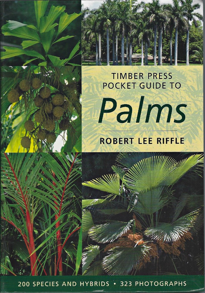 Image for Timber Press Pocket Guide to Palms
