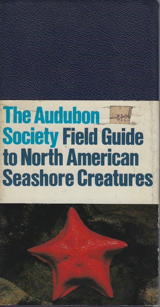 Image for The Audubon Society Field Guide to North American Seashore Creatures