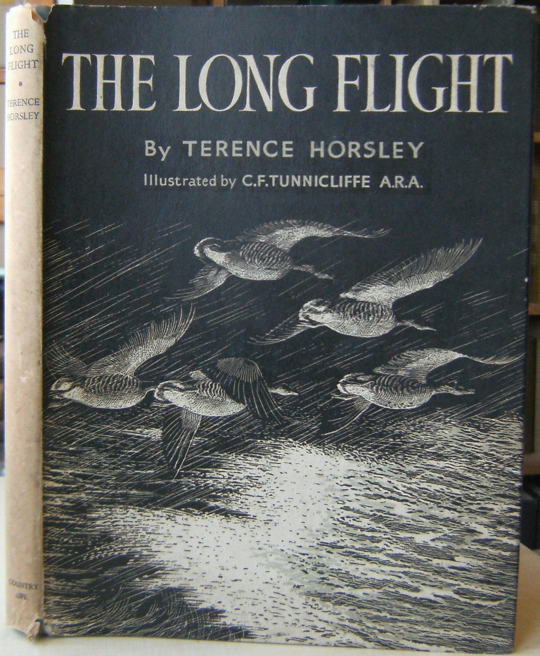 Image for The Long Flight