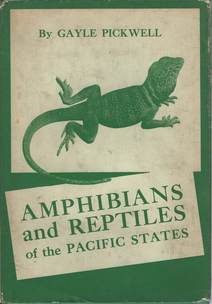 Image for Amphibians and Reptiles of the Pacific States