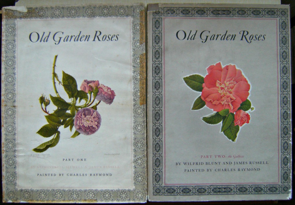 Image for Old Garden Roses - Two volumes