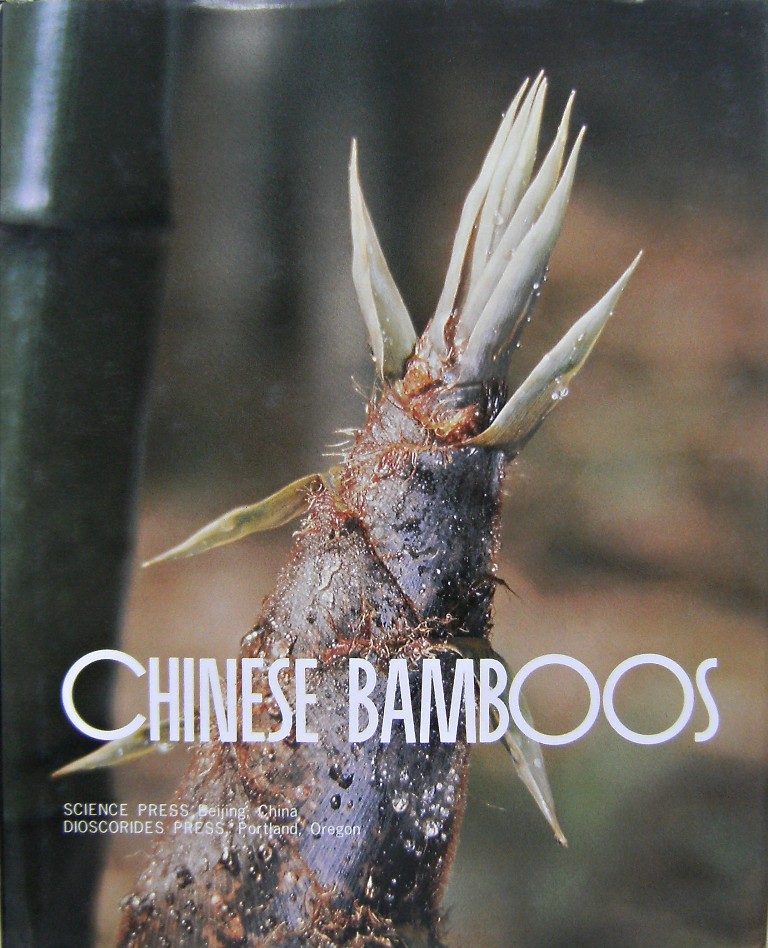 Chinese Bamboos