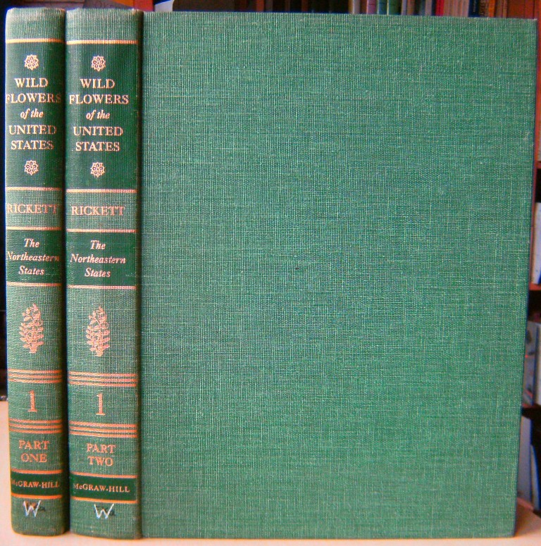Image for Wild Flowers of the United States, Volume 1 (in 2 parts) - The North-Eastern States