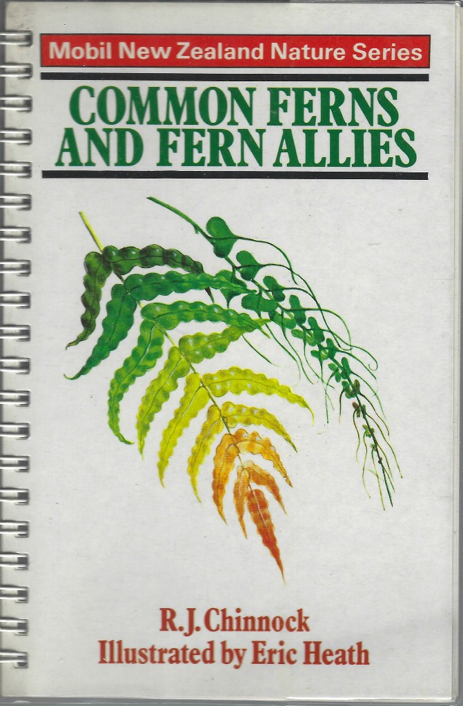 Image for Common Ferns and Fern Allies: Mobil New Zealand Nature Series