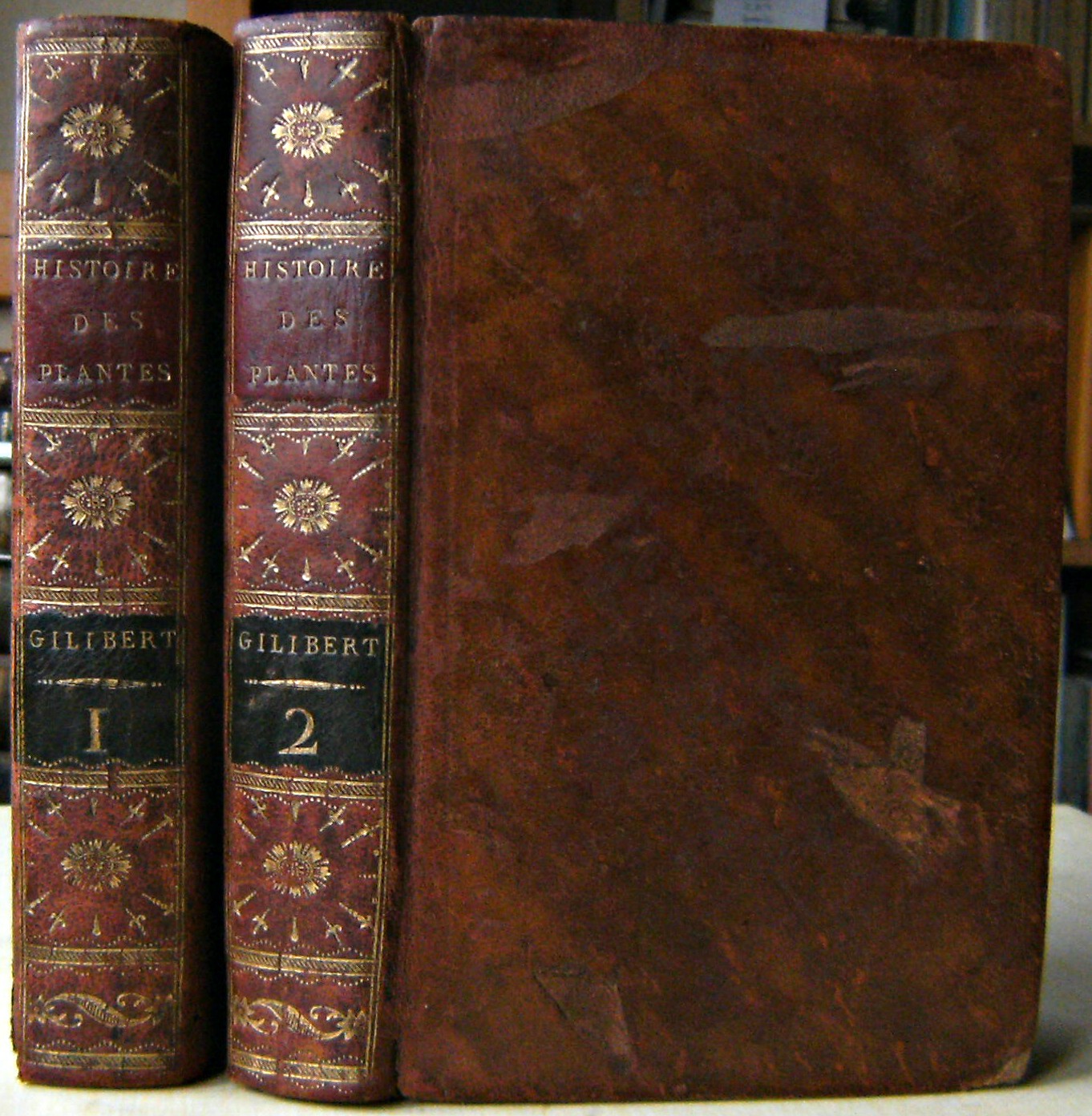 Image for Histoire des Plantes d'Europe ou elemens de botanique pratique. Ouvrage dans lequel on donne le signalement precis, suivant la methode et les principes de Linne, des plantes indigenes, des etrangeres les plus utiles, et une suite d'observations modernes