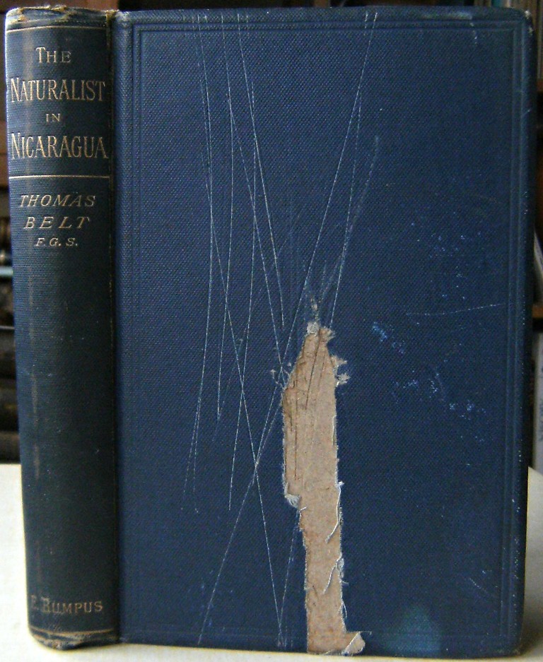 Image for The Naturalist in Nicaragua: A Narrative of a Residence at the Gold Mines of Chontales; Journeys in the Savannahs and Forests. with Observations on animals and plants in reference to the theory of evolution of living forms