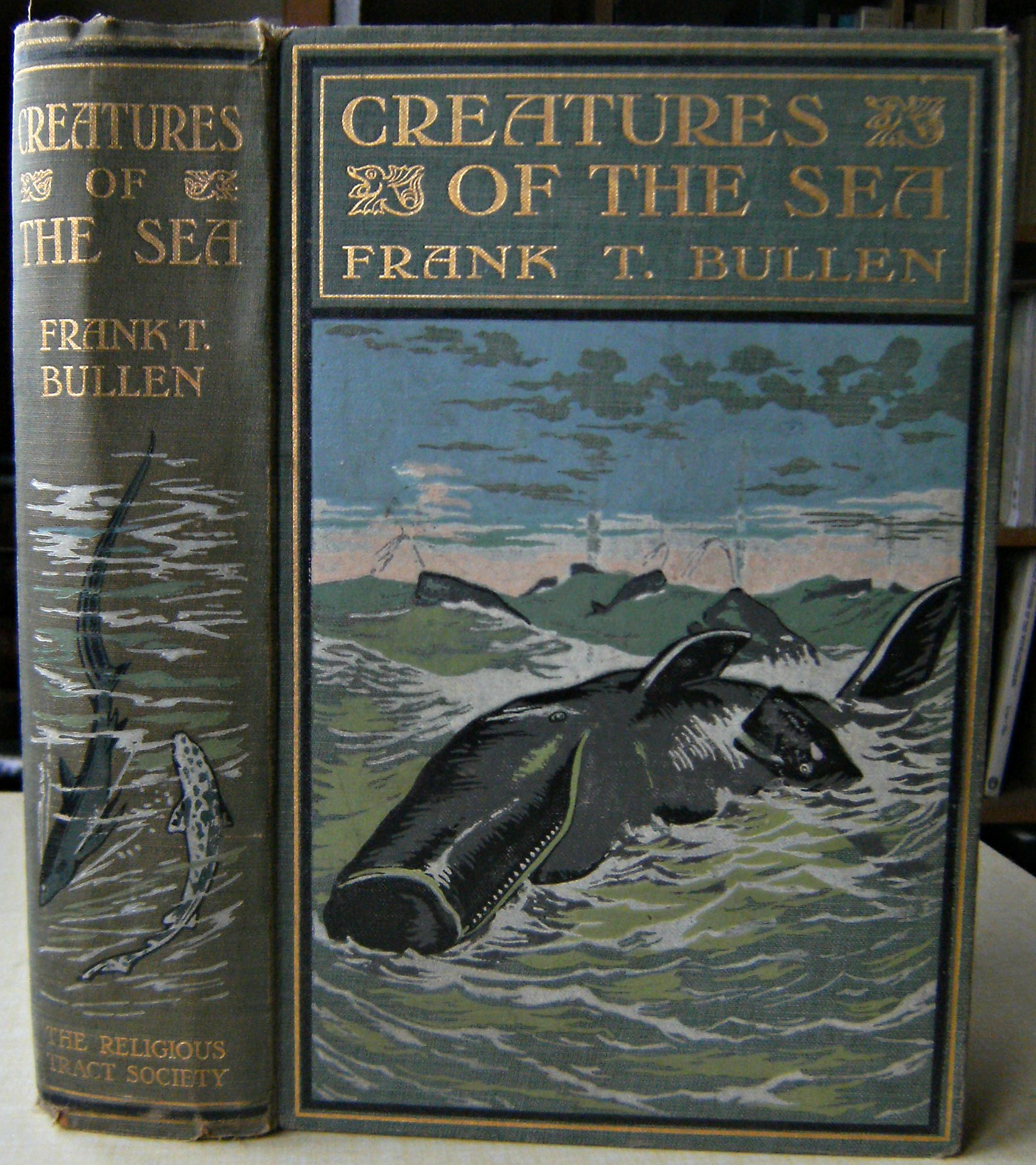 Image for Creatures of the Sea: Being the Life stories of some Sea Birds, Beasts, and Fishes