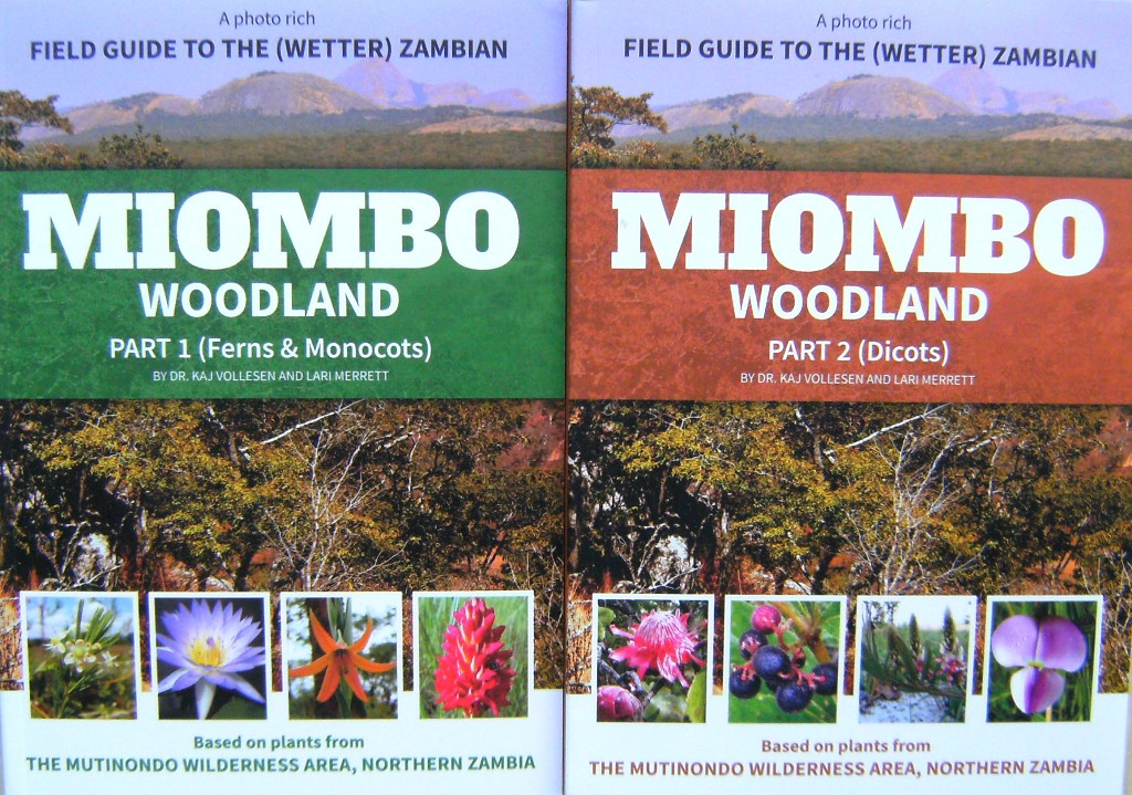 Image for A Photo Rich Field Guide to the Wetter Zambian Miombo Woodlands. Part 1 - Ferns and Monocotyledons; Part 2 - Dicotyledons