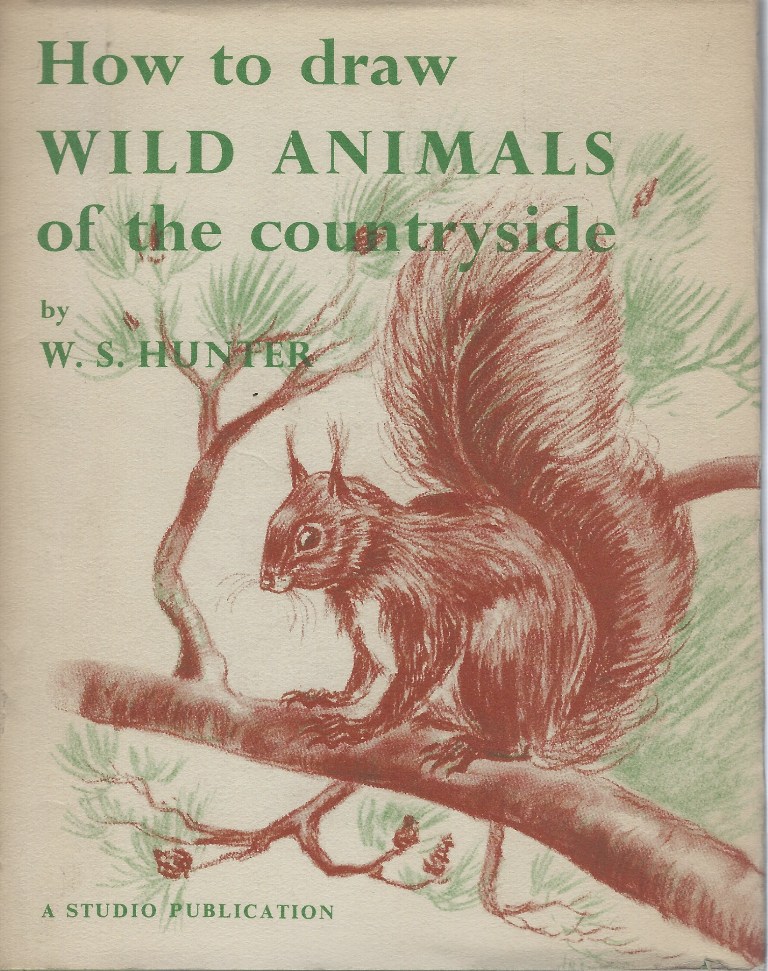 How to Draw Wild Animals of the Countryside