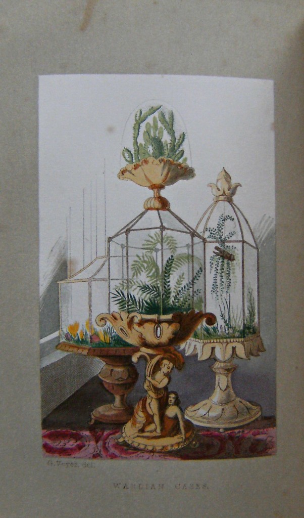Image for Rustic Adornments for Homes of Taste, and recreations for town folk in the study and imitation of nature