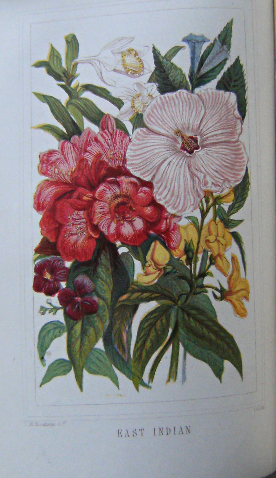 Image for Flowers From Many Lands: a Christian companion for hours of recreation