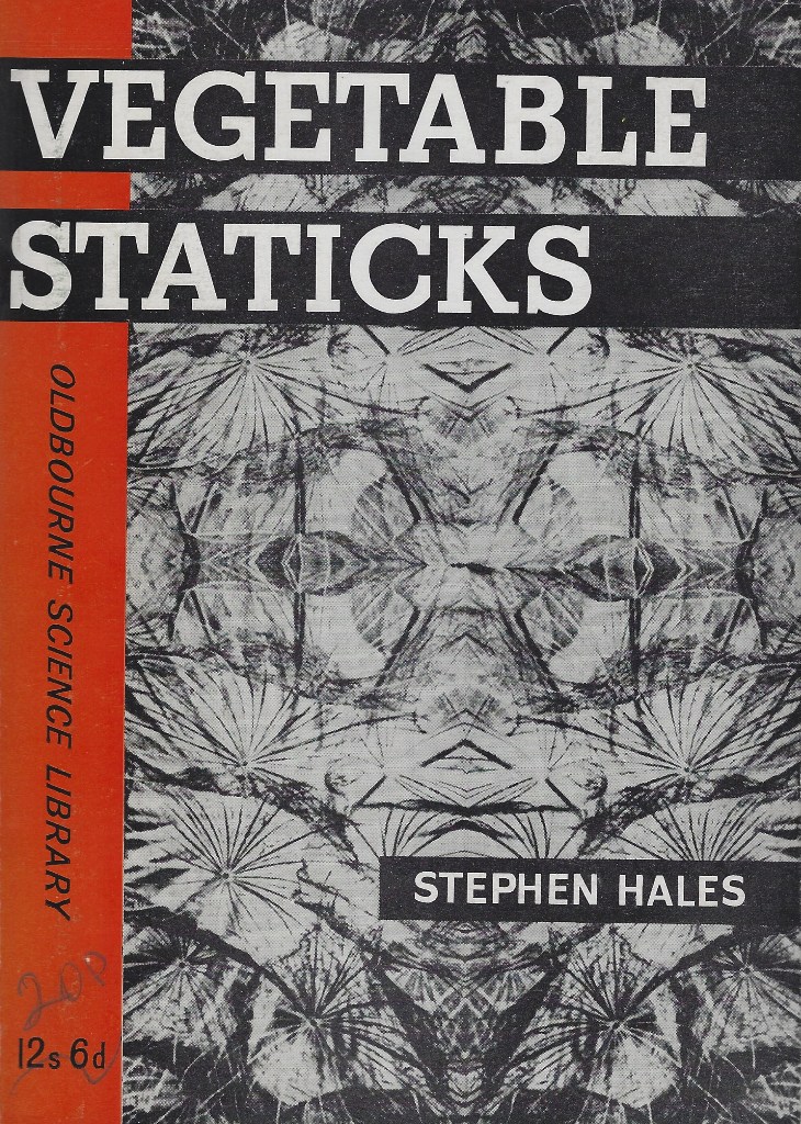 Image for Vegetable Staticks