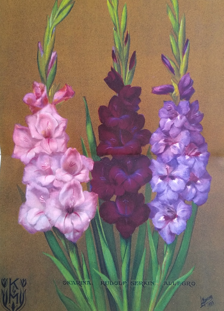 Image for The Gladiolus Annual - 1929, 1931, 1932, 1933, 1934, 1935, 1939, 1940 [+ New England Gladiolus Society for  1936 and 1937]