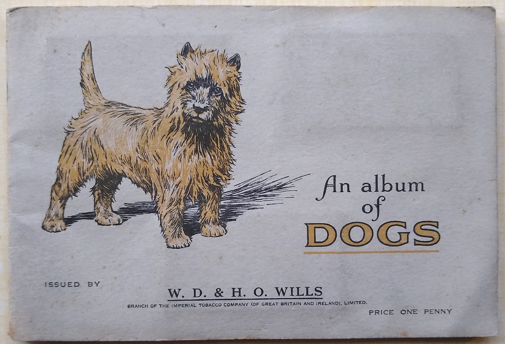 Image for An Album of Dogs