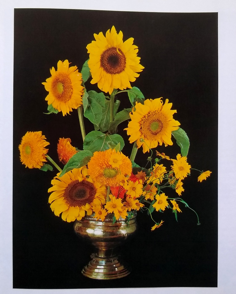 Image for The Art of Flowers