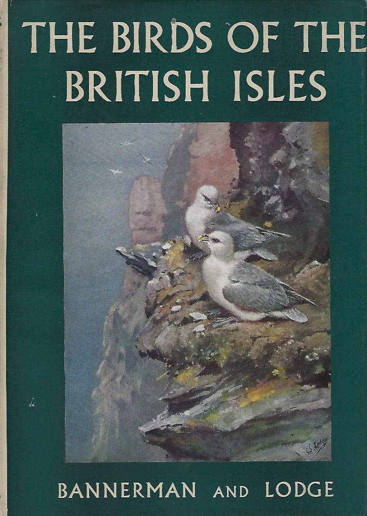 Image for The Birds of the British Isles - Volume Eight ONLY [VIII,  8]. { Phalacrocoracidae, Sulidae, Fregatidae, Procellariidae, Diomedeidae, Podicipedidae, Gaviidae, Columbidae and Pteroclididae}