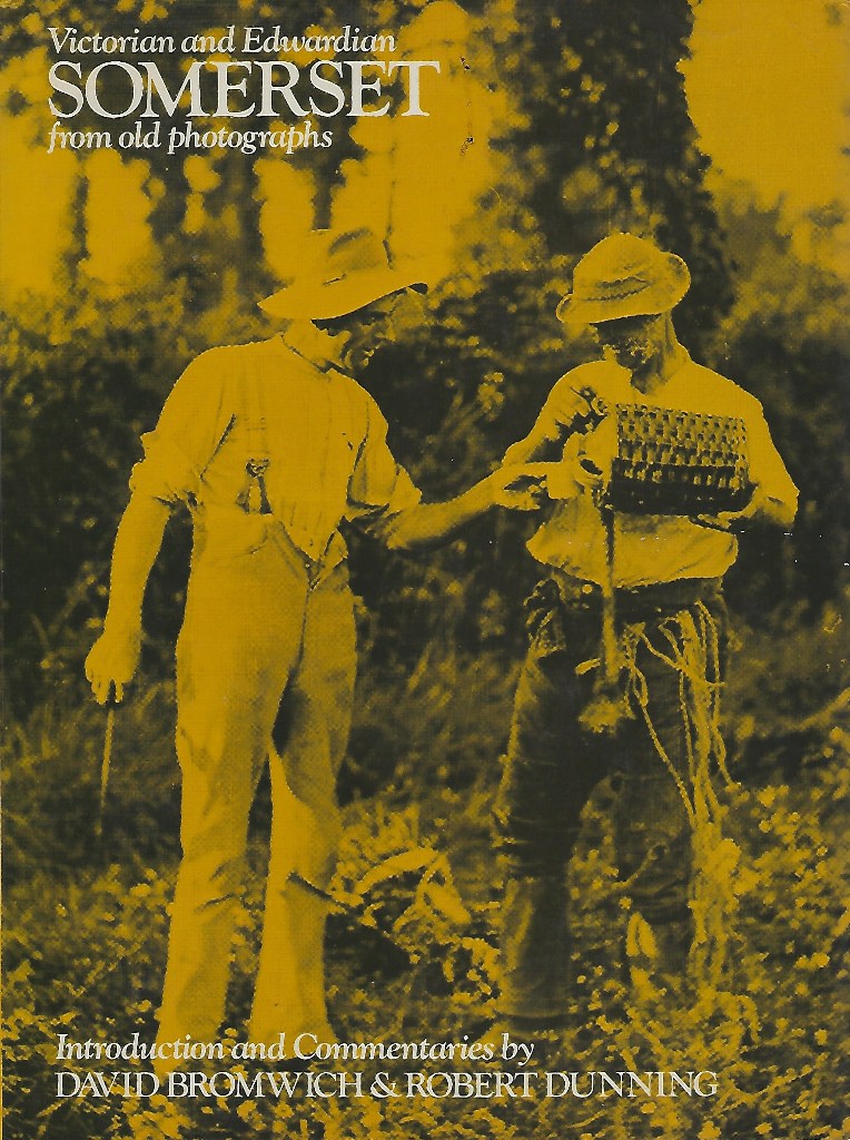 Image for Victorian and Edwardian Somerset from Old Photographs