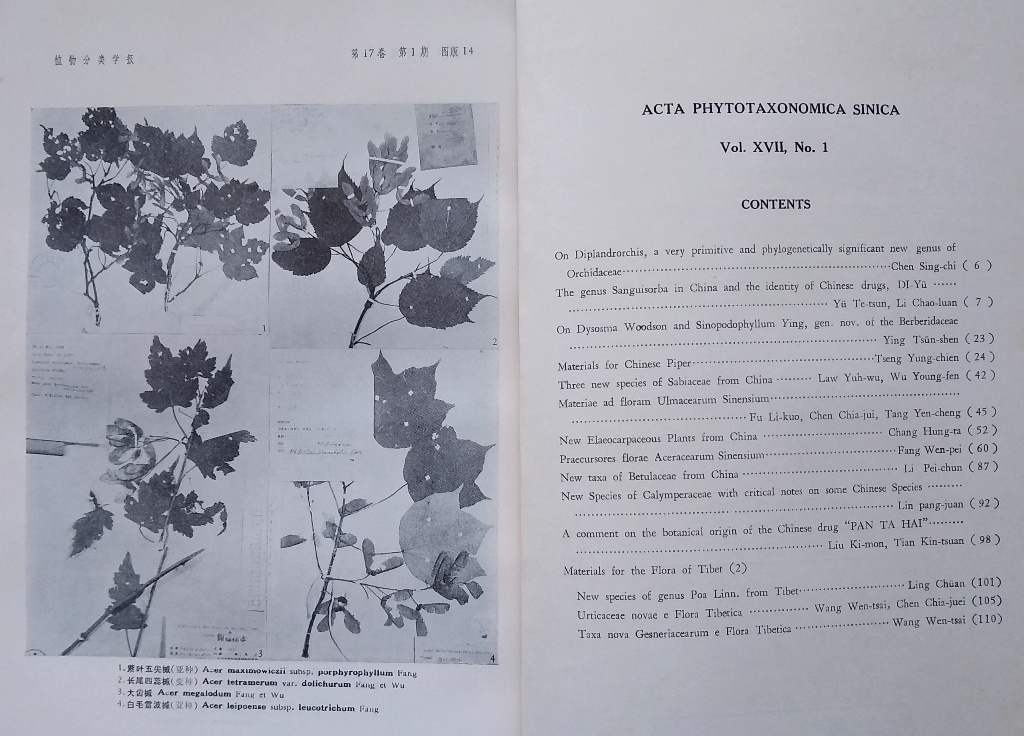 Image for Acta Phytotaxonomica Sinica. Volume 15 number 2; Volume 16 numbers 1, 2, 3 & 4; Volume XVII Numbers 1, 3 & 4