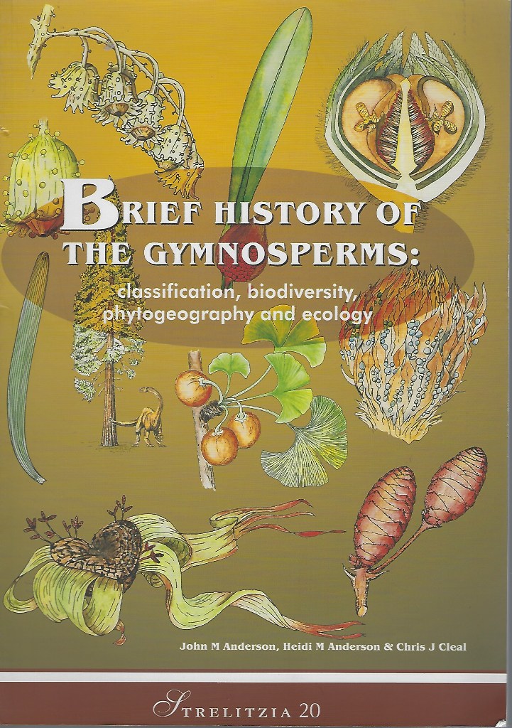 Image for Brief History of the Gymnosperms: Classification, Biodiversity, Phytogeography and Ecology (Strelitzia 20)