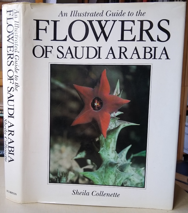 Image for An Illustrated Guide to the Flowers of Saudi Arabia