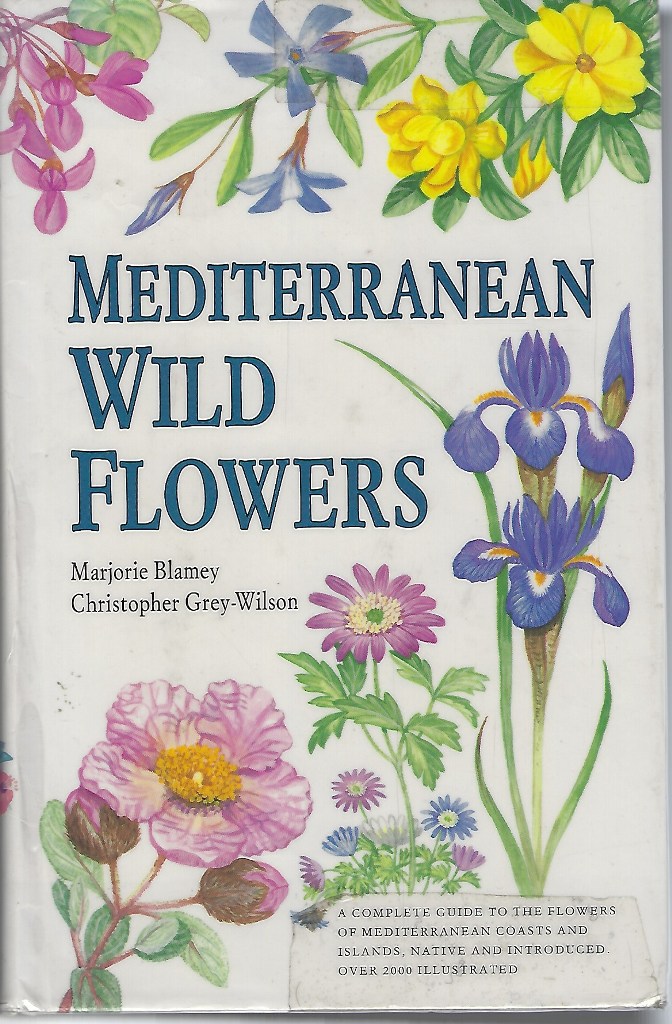Image for Mediterranean Wild Flowers
