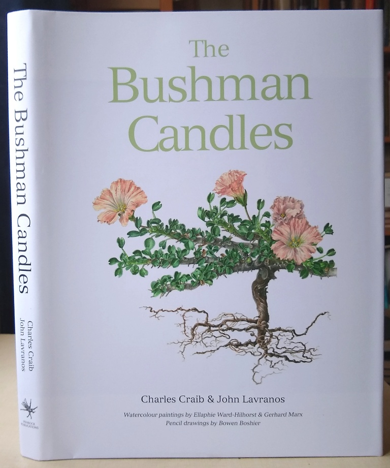 Image for The Bushman Candles