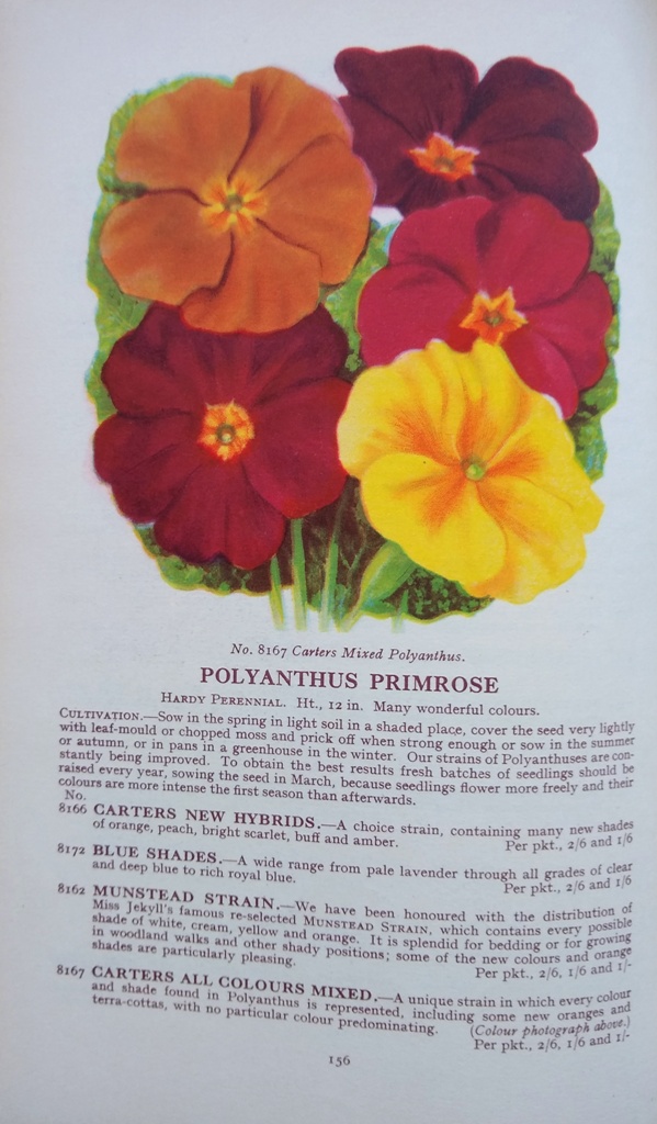 Image for The Blue Book of Gardening Catalogue 1932