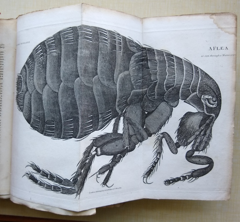 Image for Nature Displayed in the Heavens and on the Earth, according to the latest observations and discoveries