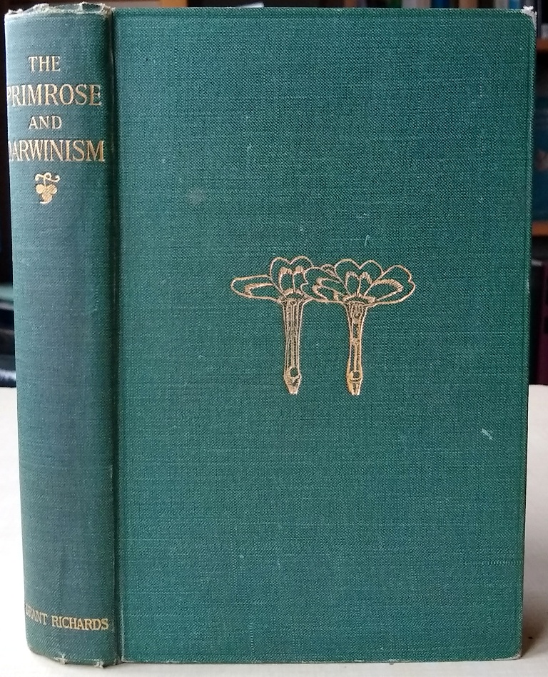Image for The Primrose and Darwinism