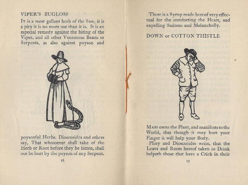 Image for Selections from the English Physitian By Nicholas Culpeper